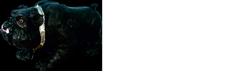 Design Max IV Figur Statue Skulptur Figuren Skulpturen Dekoration Deko Neu Hund