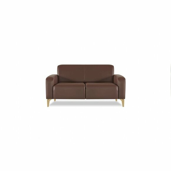 Sofa 2-Sitzer Braun Einfarbig Modern Design Arbeitszimmer Wohnzimmer