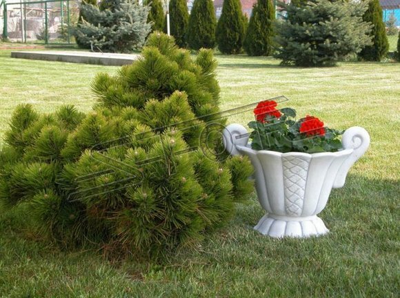 Design Blumentopf Top Planz Kübel Gefäß Töpfe Figur Gesicht Skulptur