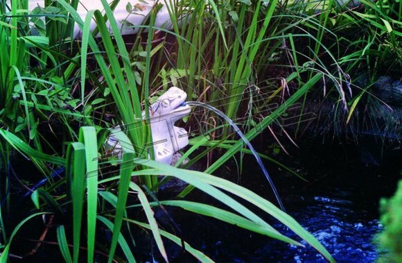 Gartenfigur "Frosch Fontaine" 20cm Teichfigur Menschen Steinguss Gartendeko