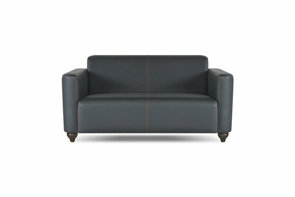 Sofa 2-Sitzer Schwarz Einfarbig Modern Design Arbeitszimmer Wohnzimmer