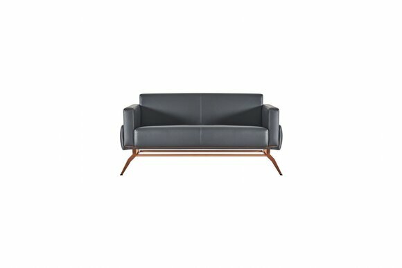 Sofa 2-Sitzer Schwarz Modern Design Einfarbig Arbeitszimmer Wohnzimmer
