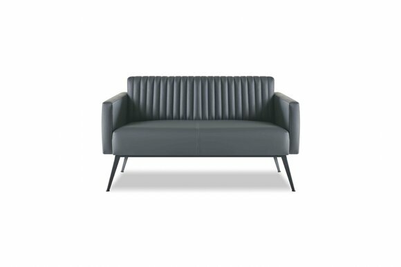 Sofa 2-Sitzer Schwarz Farbe Einfarbig Modern Design Stil Arbeitszimmer