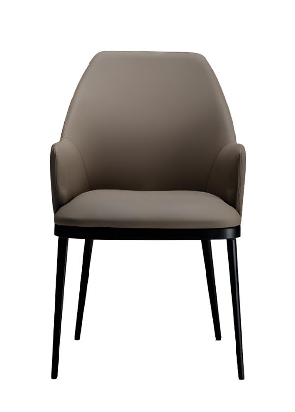 Stühle Esszimmerstuhl Modern Esszimmerstuhl Polsterstuhl Design Möbel