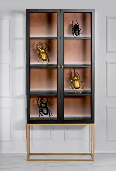 Vitrine Schränke Vitrinen Schrank Holz Glas Möbel Design Wohnzimmer