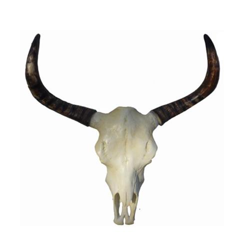 Rind Geweih Kopf Wand Deko Dekoration 78cm Wand Design Kopf Skulptur Statue