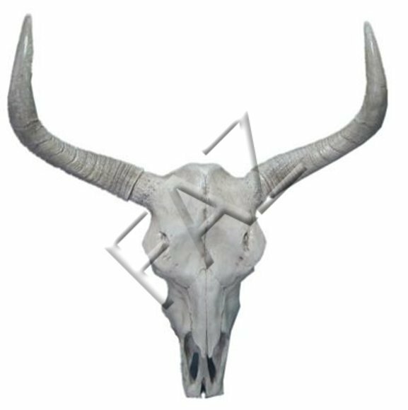 Design Figur Statue Skulptur Figuren Skulpturen Dekoration Deko Kopf Hörner Wand