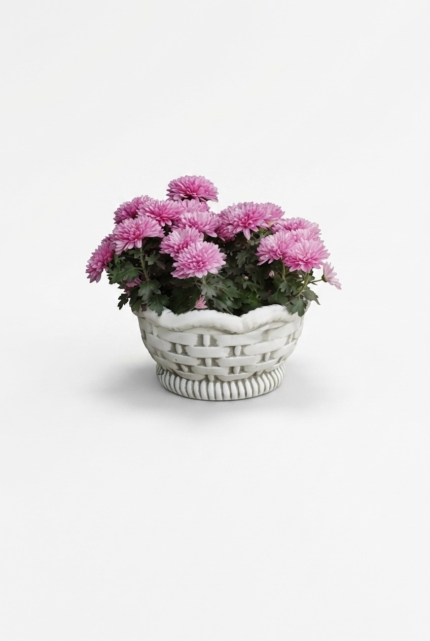 Blumentöpfe Kasten Topf Blumen Töpfe XXL Beton Garten Terrasse Skulptur