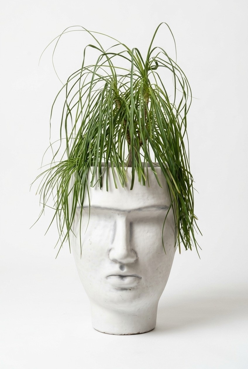 Design Blumentopf Top Planz Kübel Gefäß Töpfe Figur Gesicht Skulptur