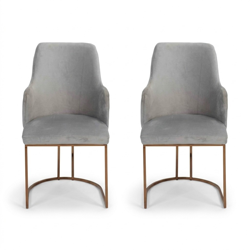 Modern Esszimmerstuhl Küchenstühle Luxus Design 2x Stühle Lehnstühle Grau Neu