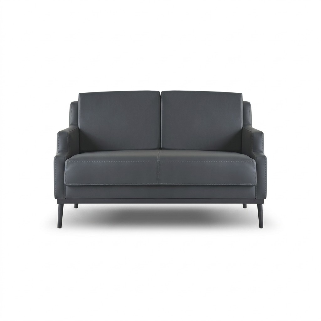 Sofa 2-Sitzer Dunkelgrau Einfarbig Modern Stil Design Arbeitszimmer