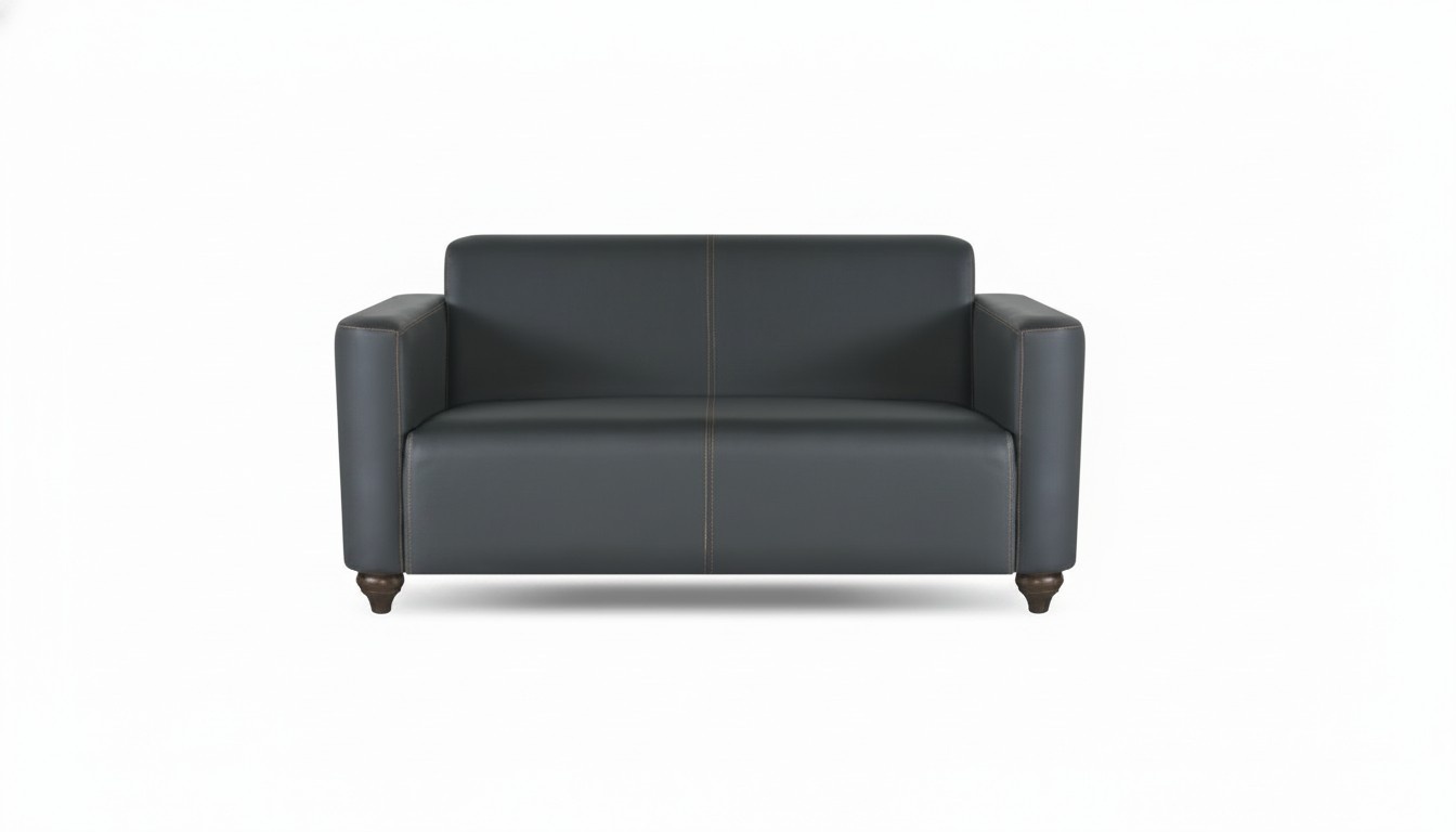 Sofa 2-Sitzer Schwarz Einfarbig Modern Design Arbeitszimmer Wohnzimmer