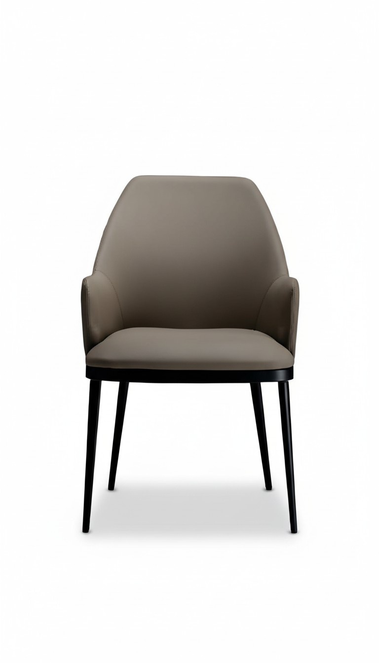 Stühle Esszimmerstuhl Modern Esszimmerstuhl Polsterstuhl Design Möbel