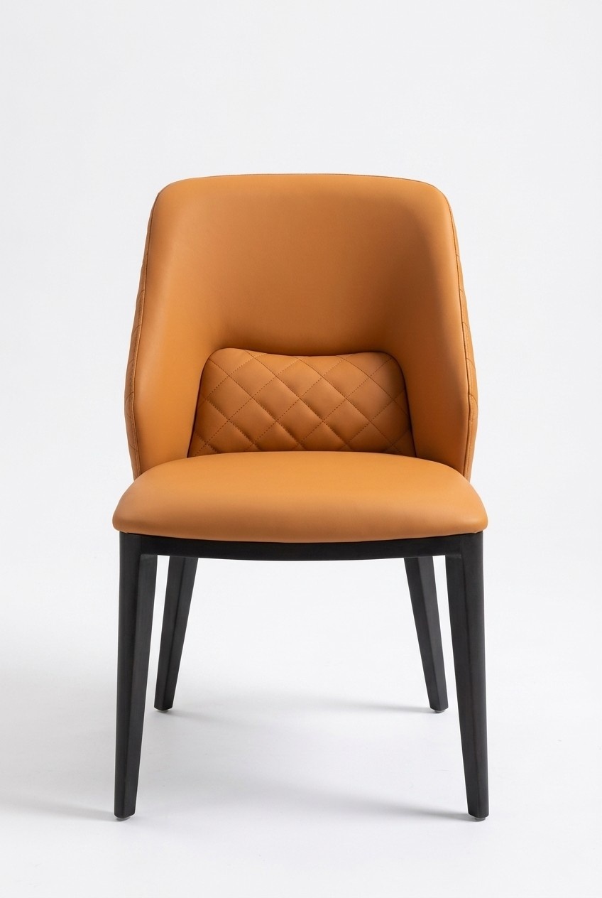 Stuhl Design Lounge Lehn Ess Wohn Zimmer Club Möbel Küche Stühle Sessel