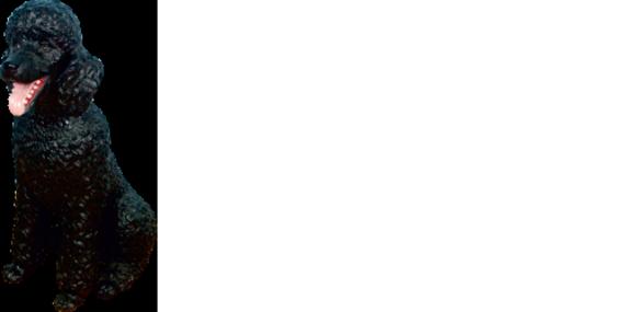 Design Puddle Figur Statue Skulptur Figuren Skulpturen Dekoration Deko Neu 3008