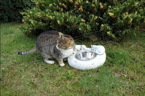 Wasser Trinkbrunnen Katzen Tränke Behälter Kunde Trink Gefäss Hunde