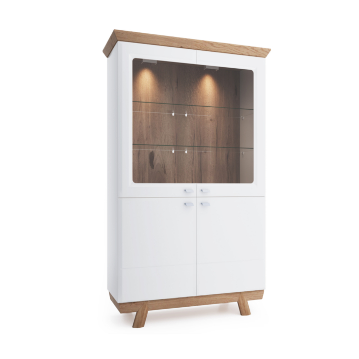Moderner Vitrinen Schrank Wohnzimmer Hochschrank Hotel Aktenschrank
