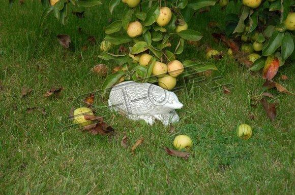 Garten Dekoration Igel Terrasse Stein Figuren Figur Deko Statue Skulptur 524 Neu