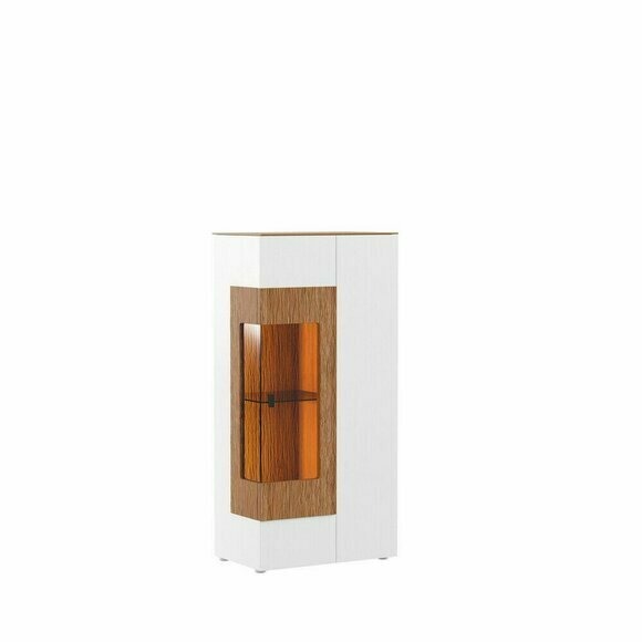 Moderne Vitrine Glas Schrank Wohnzimmer Schaufenster 1türige Design Vitrinen neu