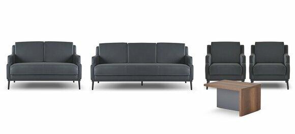 Arbeitszimmer-Set 5tlg Dunkelgrau 3-Sittzer 2-Sitzer Sessel Couchtisch