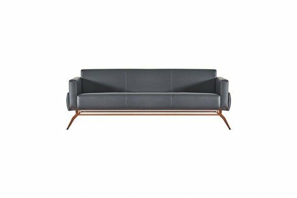 Sofa 3-Sitzer Schwarz Einfarbig Modern Design Stil Arbeitszimmer Braun