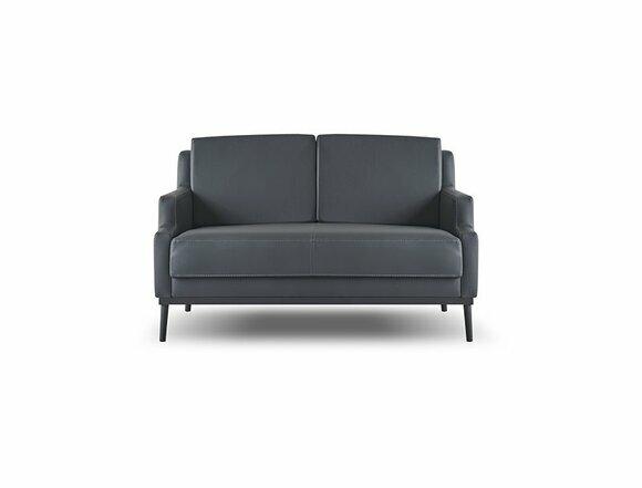 Sofa 2-Sitzer Dunkelgrau Einfarbig Modern Stil Design Arbeitszimmer