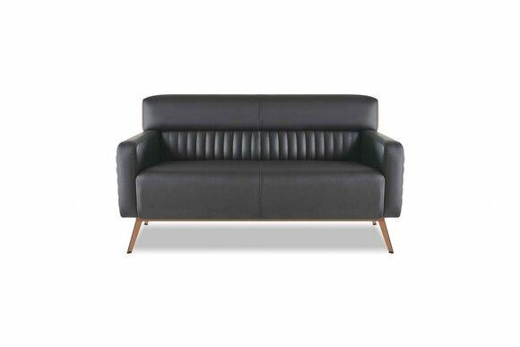 Sofa 2-Sitzer Arbeitszimmer Wohnzimmer Schwarz Einfarbig Modern Design