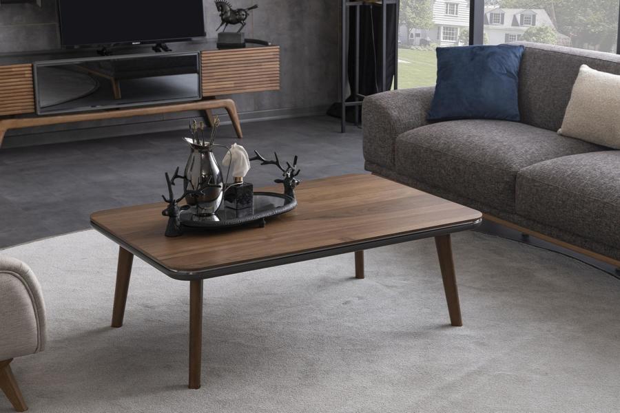 Kaffeetisch Sofatisch Couchtisch Beistelltisch Wohnzimmertisch Holz Tisch