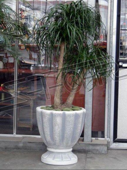 Blumentöpfe Kasten Topf Blumen Töpfe XXL Beton Garten Terrasse Skulptur