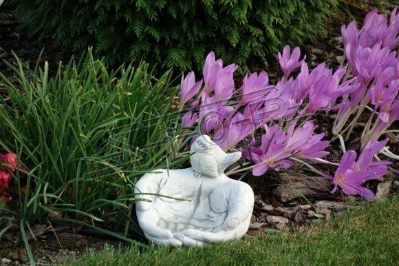 Vogel Tränke Skulptur Design Figur Statue Garten Figuren Statuen Schale