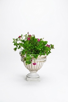 Blumenkübel Pflanz Kübel Dekoration Figur Blumentöpfe Garten Vasen 556