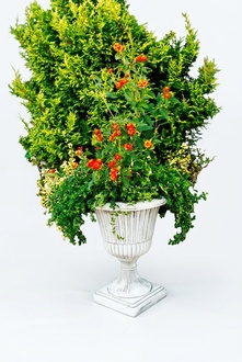 Blumenkübel Pflanz Kübel Dekoration Figur Blumentöpfe Garten Vasen