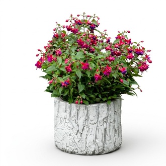 Blumenkübel Pflanz Kübel Dekoration Figur Blumentöpfe Garten Vasen