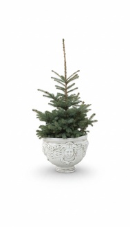 Blumenkübel Pflanz Kübel Dekoration Figur Blumentöpfe Garten Vasen 197