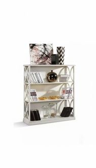 Bücher Regal Klassischer Holz Wohnzimmer Einrichtung Schrank Weiß