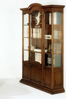 Bücherschrank Schrank Regal Echtholz Möbel Vitrine Büro Möbel Büro Einrichtung