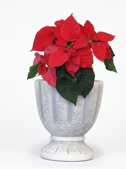 Design Blumentopf Top Planz Kübel Gefäß Töpfe Figur Gesicht Skulptur