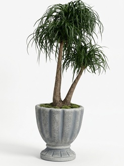 Design Blumentopf Top Planz Kübel Gefäß Töpfe Figur Gesicht Skulptur