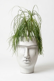 Design Blumentopf Top Planz Kübel Gefäß Töpfe Figur Gesicht Skulptur