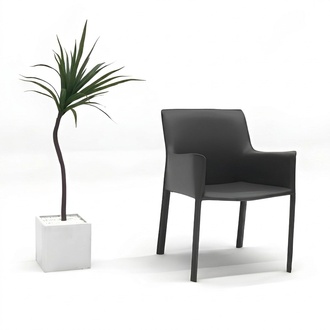 Design Lehn Stühle Polster Ess Zimmer Club Küche Lounge Wohn Möbel