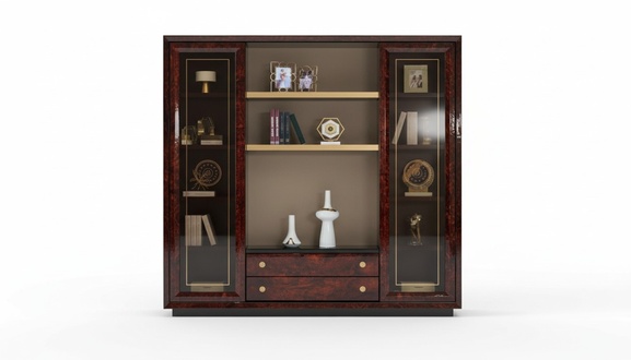 Design Schrank Bücherschrank Vitrine Aktenregal Office Einrichtung Regal Büro