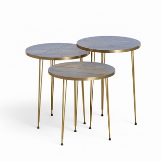 Elegantes graues Couchtisch-Set aus Holz und Edelstahl