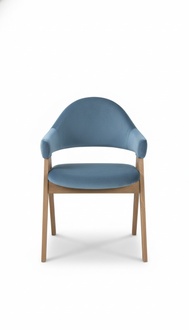 Luxus Design Polster Massiv Holz Stuhl Stühle Sitz Lehn Büro Office Esszimmer