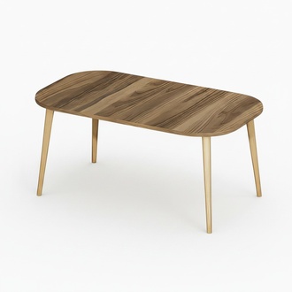 Moderner Couchtisch aus Holz in Braun