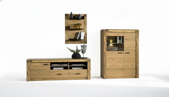 Modernes Design Wohn Wand Wohnzimmer Sideboard RTV Regal Vitrine 3tlg. Schränke