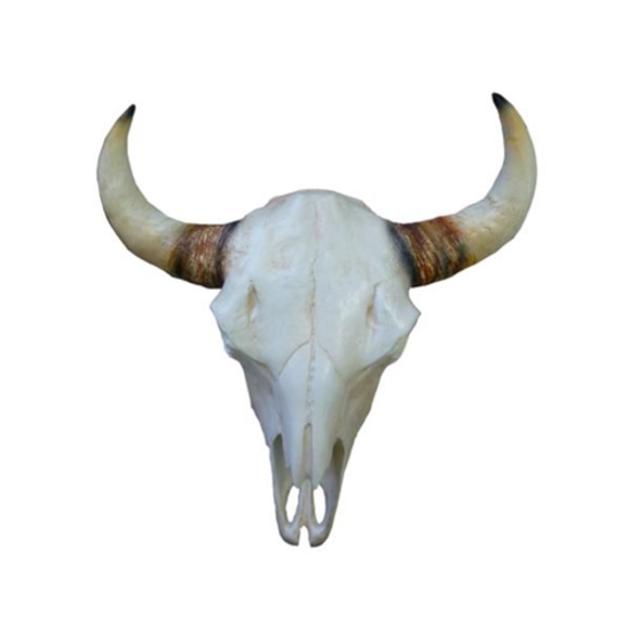 Bullenschädel Stierkopf Wand Skulpturen Höhe 64 cm Deko Figur Skelett