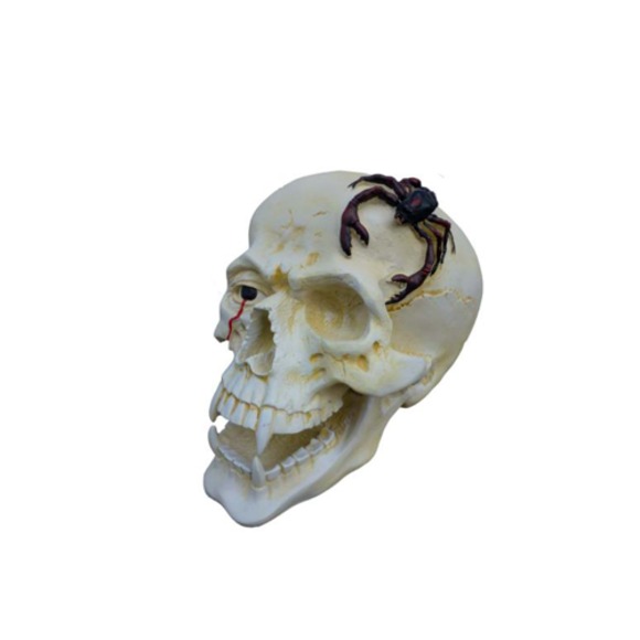 Schädel Kopf Skorpion Figur Statue Skulptur 44 cm Figuren Statuen Skulpturen