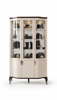 Schränke Vitrine Vitrinen Holz Edler Luxus Glas Schrank Holz Regal Wohnzimmer