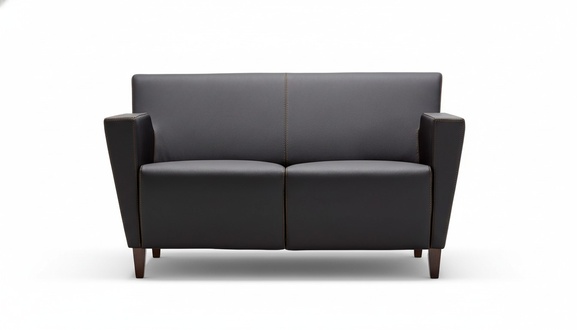 Sofa 2 Sitzer Büromöbel Polster Design Luxus Couch Leder Sofas