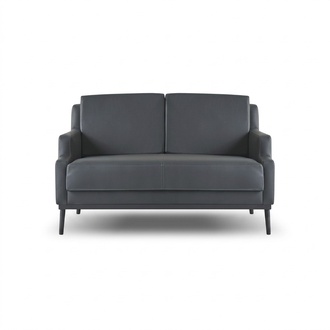 Sofa 2-Sitzer Dunkelgrau Einfarbig Modern Stil Design Arbeitszimmer